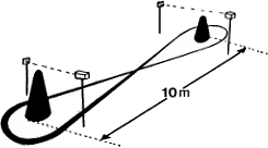 la riabilitazione propciocettiva dopo ricostruzione del tendine d'achille