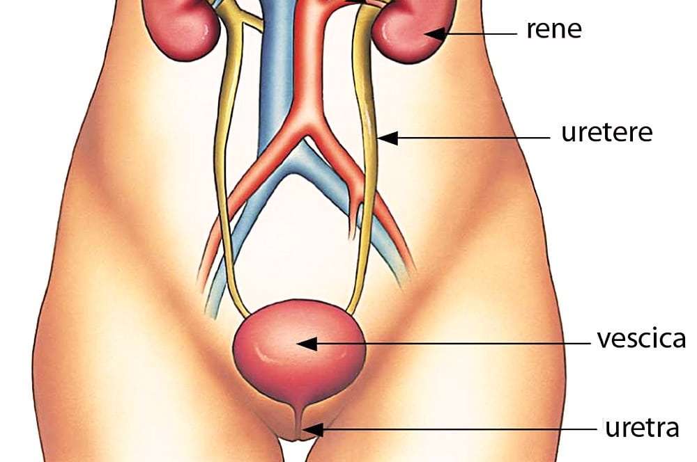 incontinenza urinaria