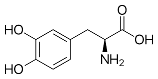 il morbo di parkinson levodopa